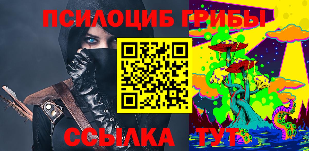 Елизово  Галлюциногенные грибы ЛСД  Псилоцибиновые грибы мухоморы  Вход с VPN 